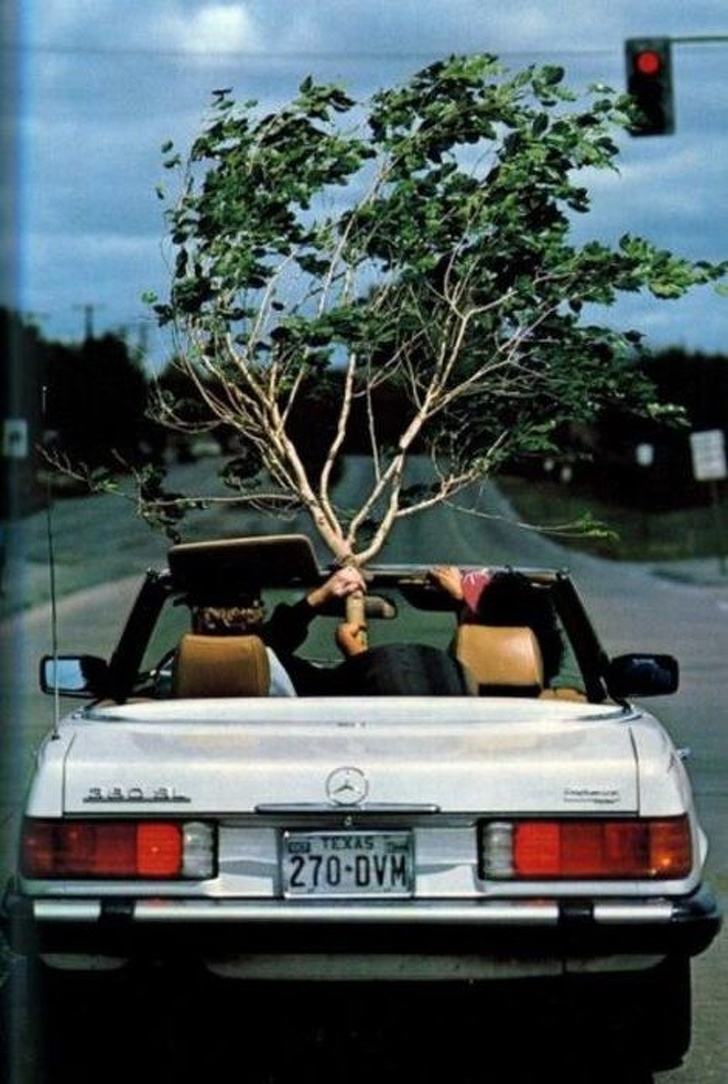 Illustration de l'article : Ces 22 personnes qui ont poussé les choses un peu trop loin