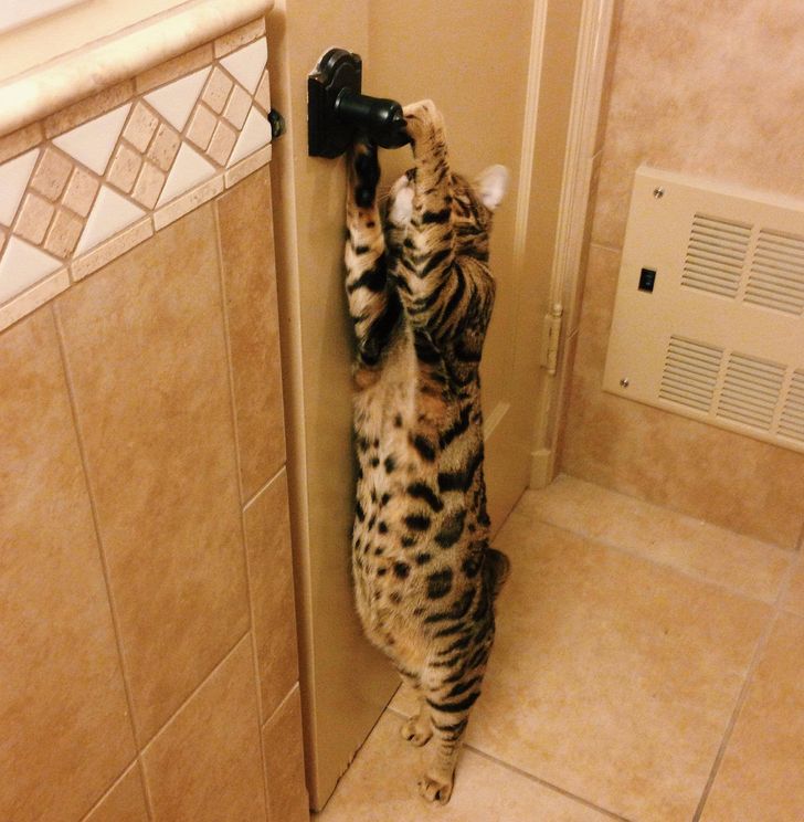 Illustration de l'article : Ces 20 photos qui montrent que certaines personnes adorent l'humour