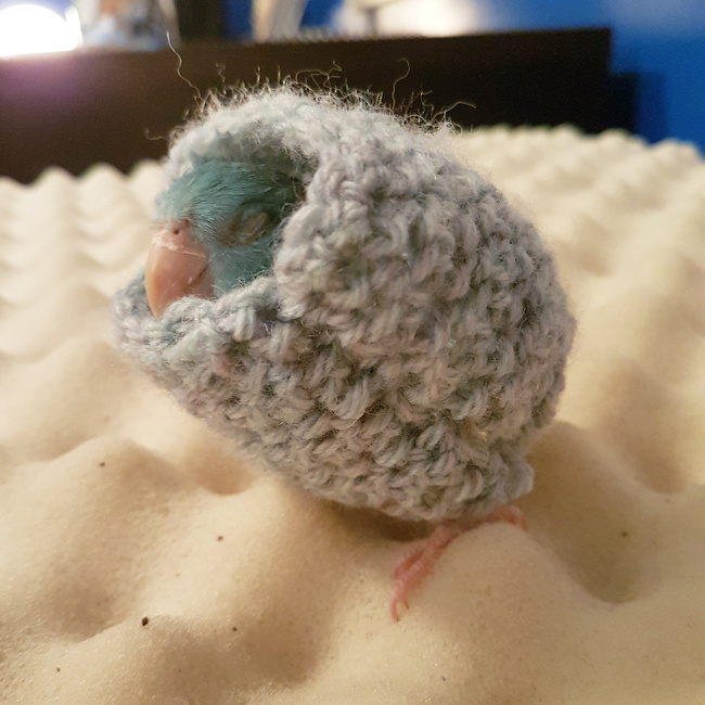 Illustration de l'article : Ces 30 choses simples qui rendent la vie plus belle