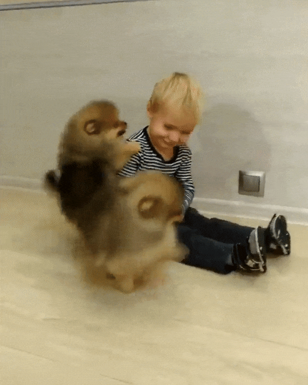 Illustration de l'article : Ces 18 photos qui montrent le bonheur vécu par ces personnes