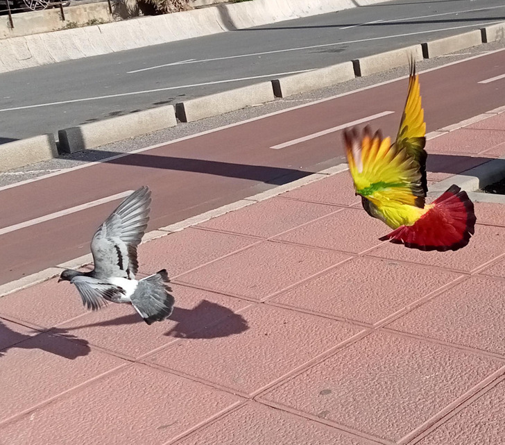 Illustration de l'article : Ces 19 photos qui illustrent les traits d'humour du quotidien