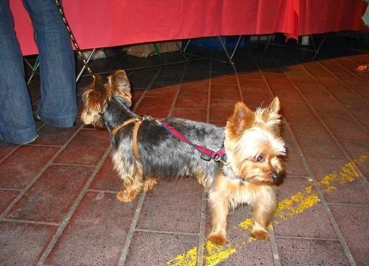 Illustration de l'article : Ces 21 personnes ont réussi un cliché fabuleux et original