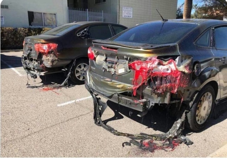 Illustration de l'article : Ces 18 photos de situations bizarres capturées par des internautes