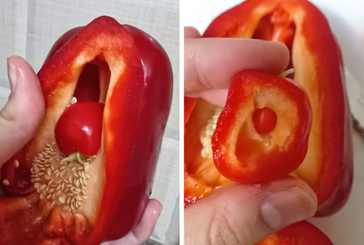 Illustration de l'article : Ces 17 photos qui montrent que Dame Nature a de l'humour