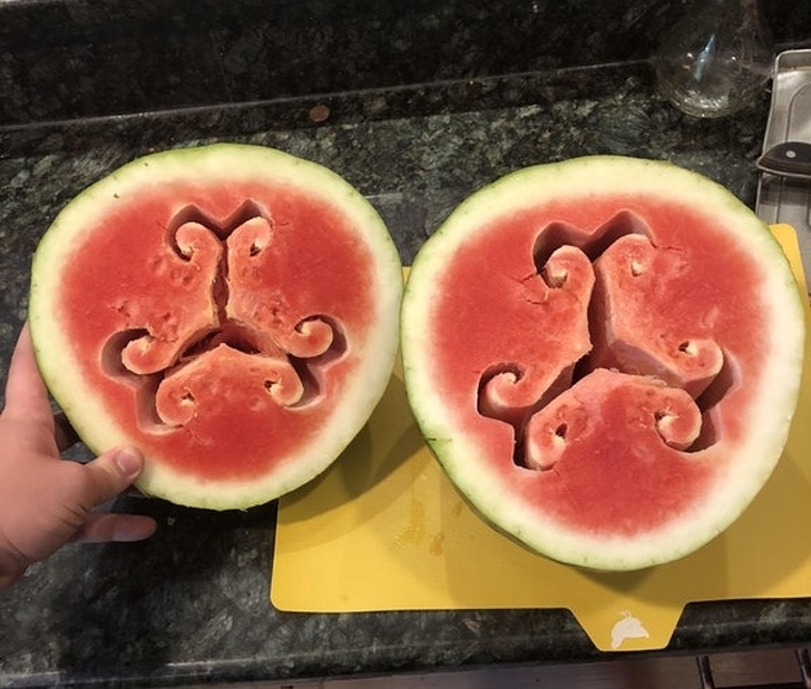 Illustration de l'article : Ces 21 photos de situations qui avaient peu de chance de se produire