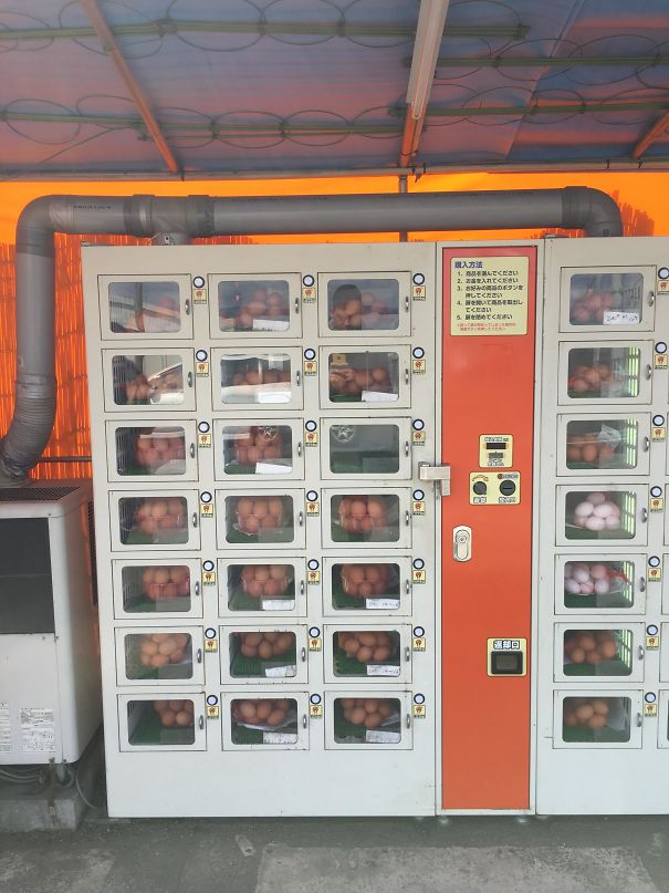 Illustration de l'article : Ces 30 raisons pour lesquelles le Japon est un pays à part