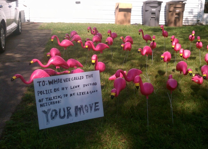 Illustration de l'article : Ces 17 photos de voisins pas vraiment fréquentables