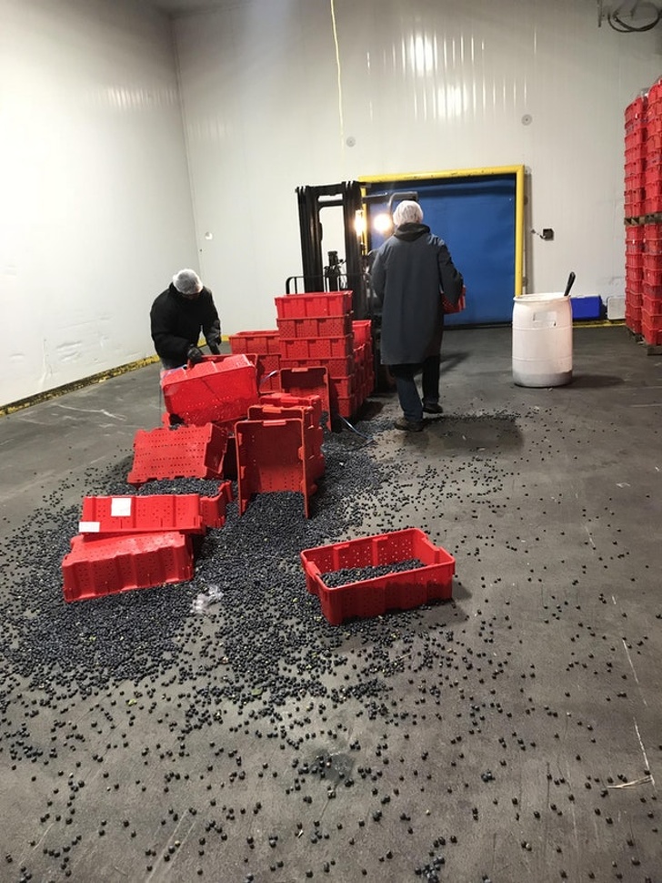 Illustration de l'article : Ces 16 personnes ayant une bonne dose de malchance