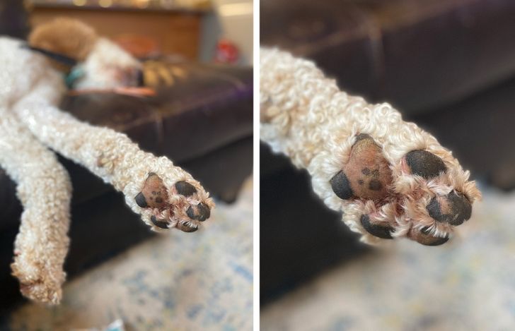 Illustration de l'article : Ces 20 photos illustrant les oeuvres insolites de la nature