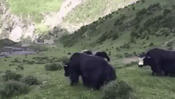 Illustration de l'article : 42 situations qui prouvent que le karma existe 