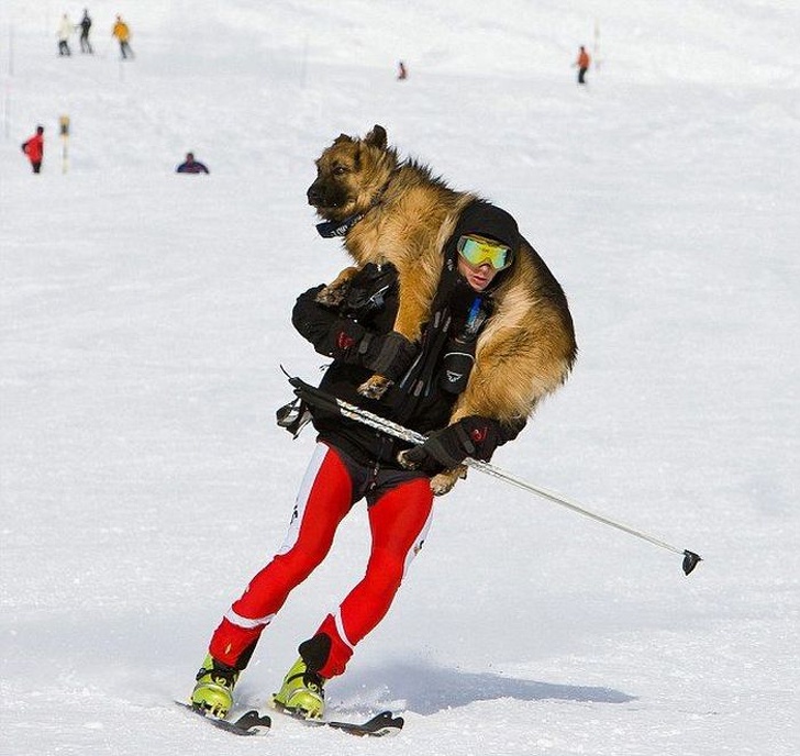 Illustration de l'article : Ces 19 photos de personnes avec un comportement plutôt fou