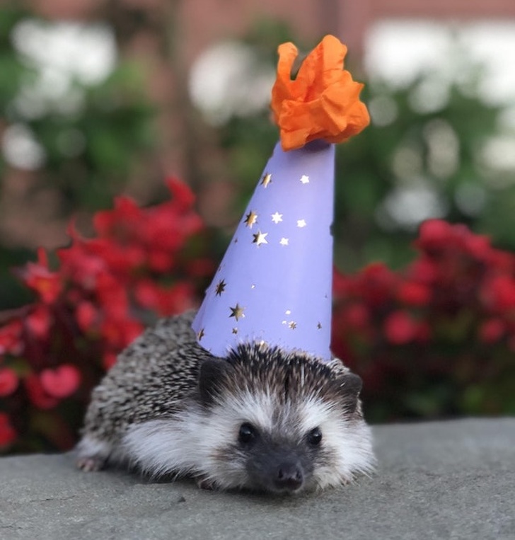 Illustration de l'article : Ces 18 photos qui représentent un souvenir émouvant vécu par ces personnes