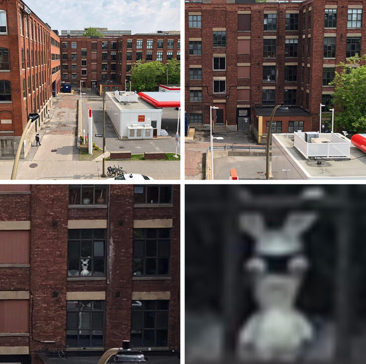 Illustration de l'article : Ces 23 curiosités qui montrent qu'il faut être attentif autour de soi