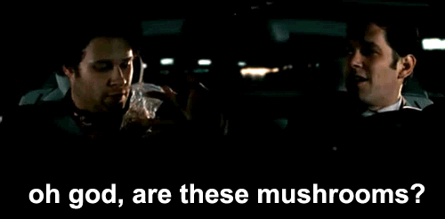 Illustration de l'article : 11 scènes de films cultes qui n’étaient pas prévues dans le script