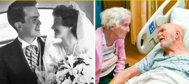 Illustration de l'article : Ces 20 photos qui montrent ce qu'est le véritable amour