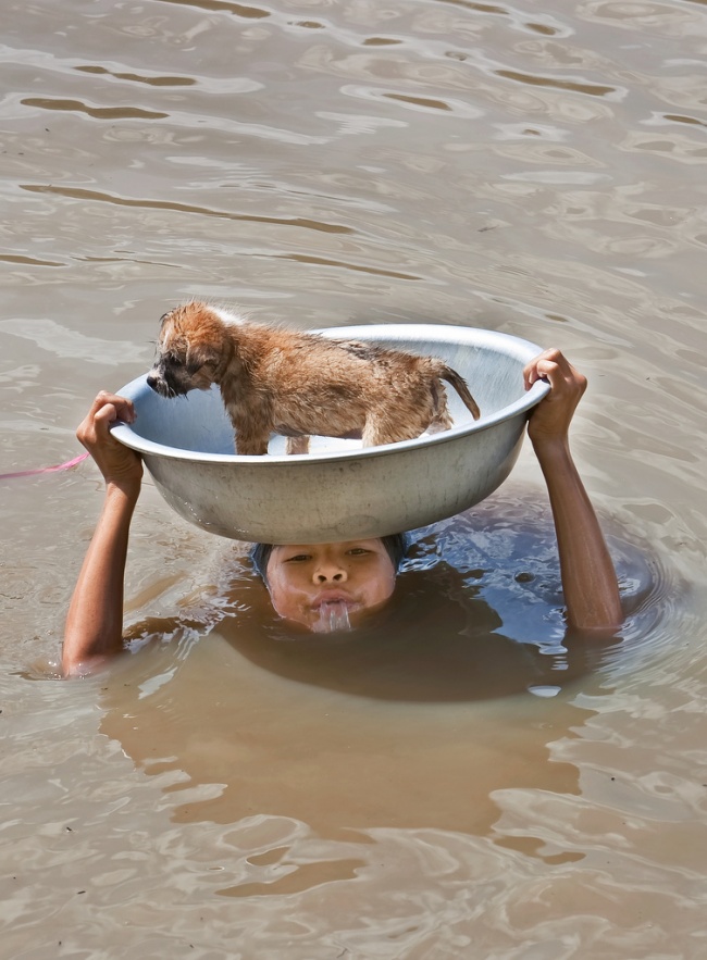 Illustration de l'article : 19 photos qui prouvent que l&rsquo;altruisme existe encore