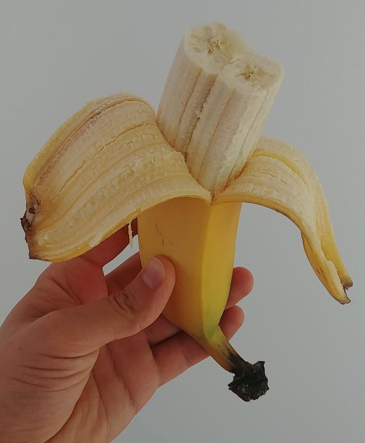 Illustration de l'article : Ces 15 surprises comme seule la nature peut en faire