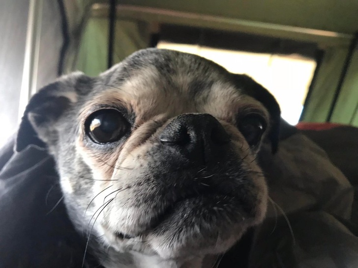 Illustration de l'article : Ces 14 photos qui montrent l'amour du monde