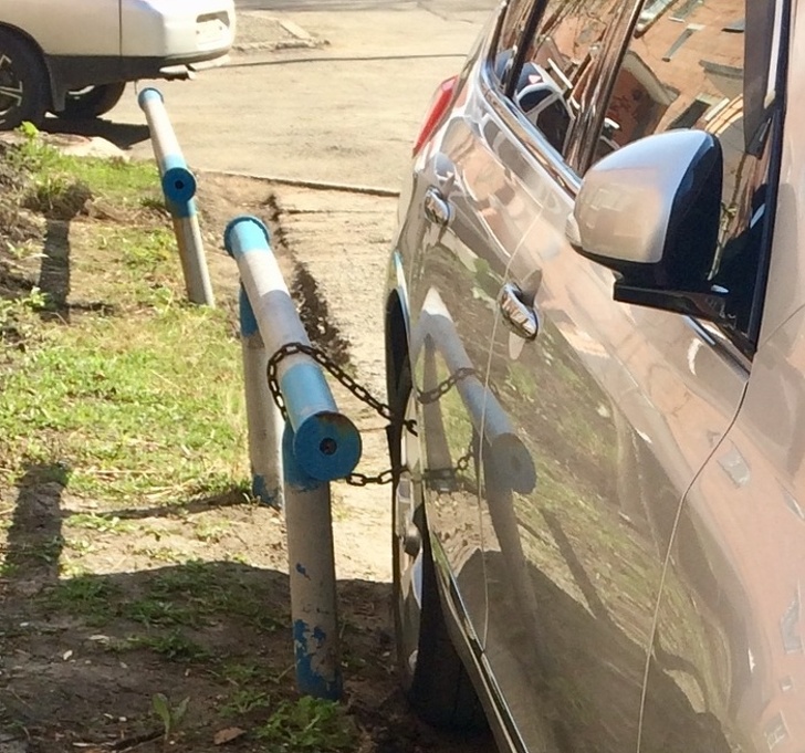 Illustration de l'article : Ces 14 photos qui rendent de bonne humeur