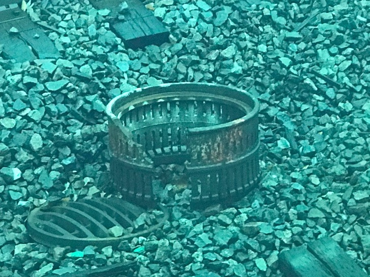 Illustration de l'article : Ces 23 situations où le hasard a bien fait les choses