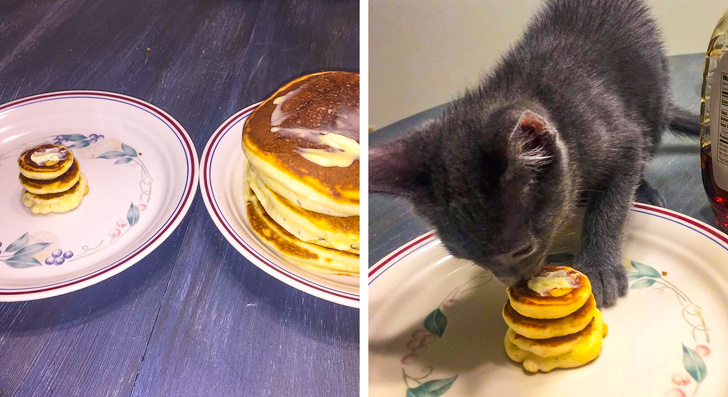 Illustration de l'article : Ces 19 photos de situations qui n'ont pas de sens