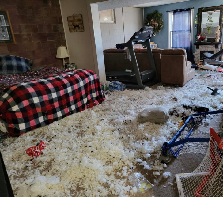 Illustration de l'article : Ces 17 personnes qui ont sûrement passé une très mauvaise journée