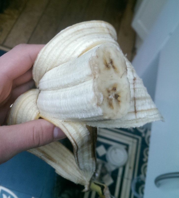 Illustration de l'article : Ces 21 choses qui ne se présentent qu'une seule fois dans une vie