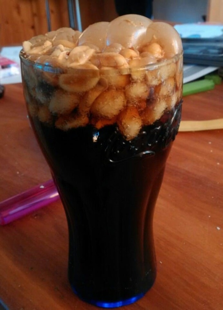 Illustration de l'article : Ces 18 internautes ont vu des bizarreries de très près