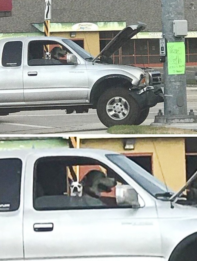 Illustration de l'article : 23 photos qui vont bousculer toutes vos connaissances fondamentales