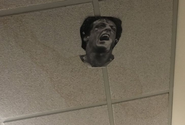 Illustration de l'article : Ces 20 personnes qui ne jurent que par l'humour