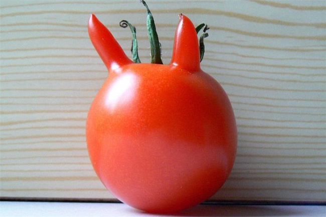 Illustration de l'article : 20 légumes étranges qui ressemblent à tout autre chose