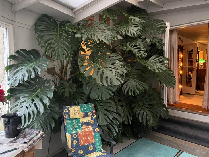 Illustration de l'article : Ces 20 photos de tr&eacute;sors d&eacute;couverts lors de r&eacute;novations