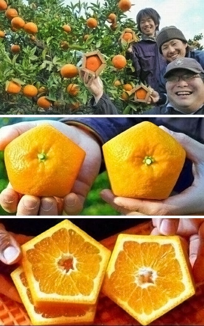 Illustration de l'article : 28 gadgets &eacute;tonnants que l&rsquo;on trouve au Japon