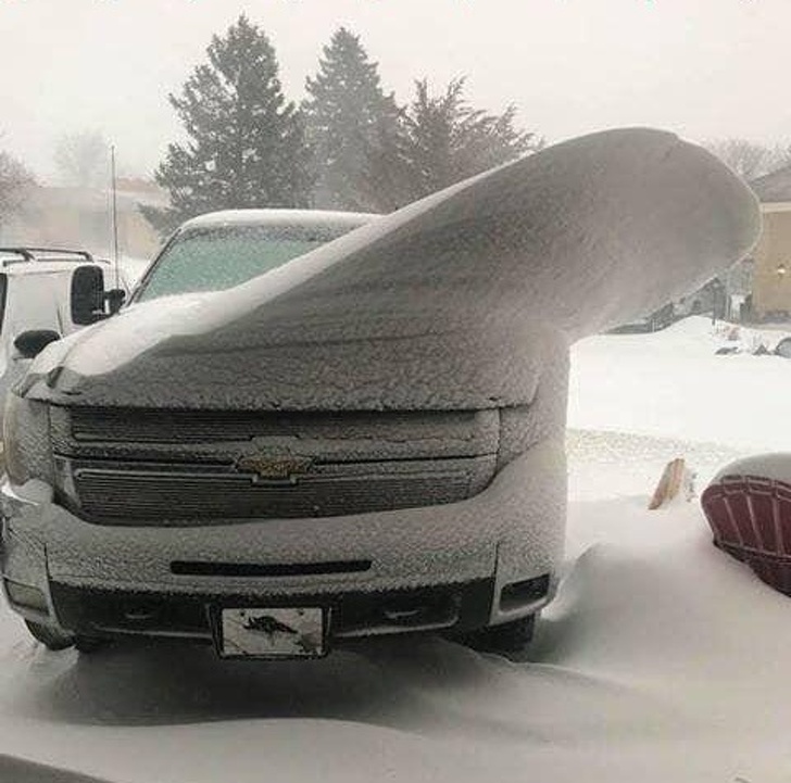 Illustration de l'article : Ces 25 photos font apparaître autre chose pour le cerveau