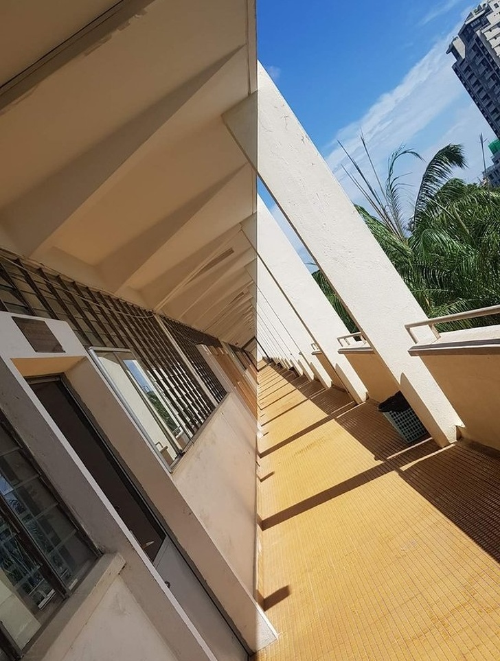 Illustration de l'article : Ces 25 photos font apparaître autre chose pour le cerveau