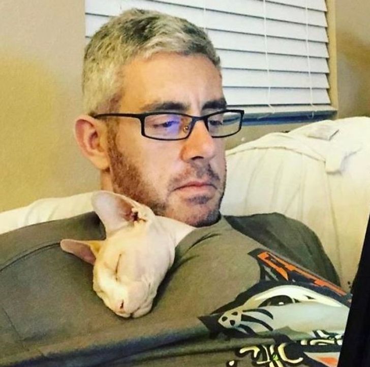 Illustration de l'article : Ces 20 personnes qui étaient contre adopter un animal de compagnie