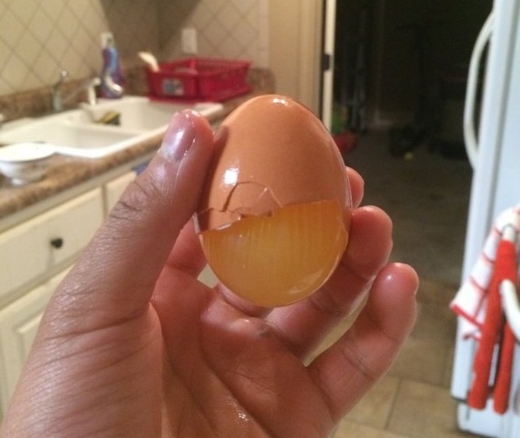 Illustration de l'article : Ces 20 photos déclenchées quand il le fallait