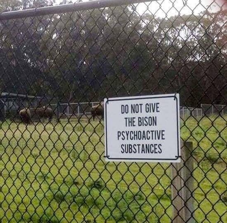 Illustration de l'article : Ces 19 anecdotes rapportées par des internautes