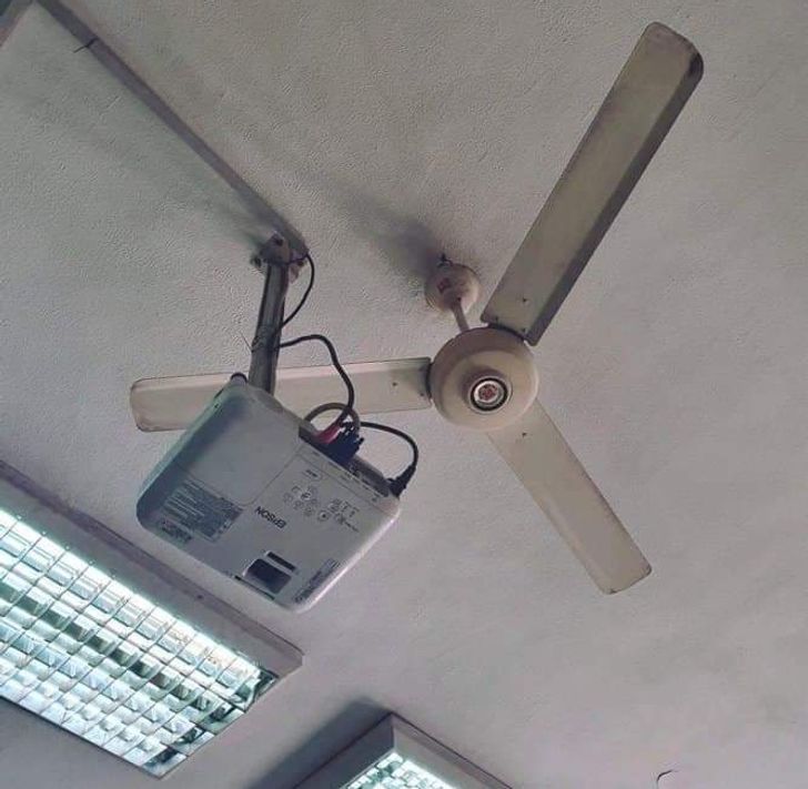 Illustration de l'article : Ces 15 photos qui illustrent la paresse au travail