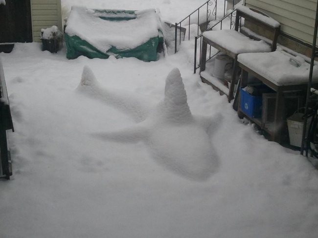 Illustration de l'article : 25 photos qui donnent des frissons en les regardant