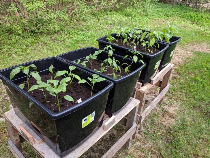 Illustration de l'article : Ces 24 façons de réutiliser de vieilles palettes en bois