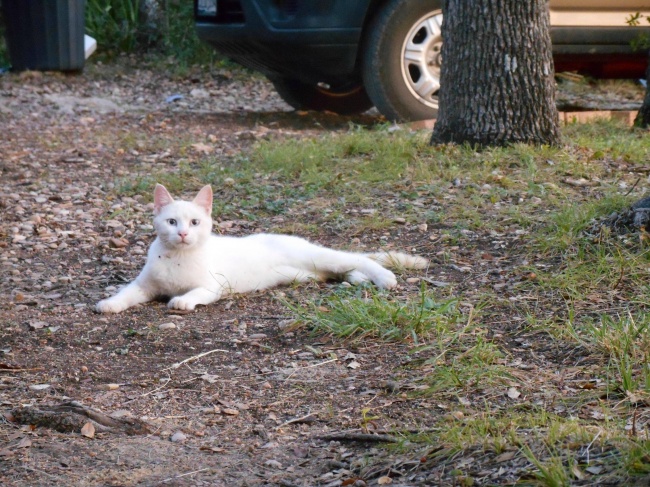 Illustration de l'article : 28 personnes qui ont vécu une expérience dont elles se souviendront toute leur vie