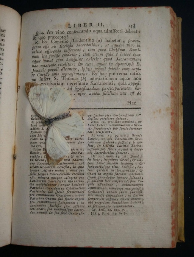 Illustration de l'article : 27 personnes partagent avec vous leurs découvertes incroyables