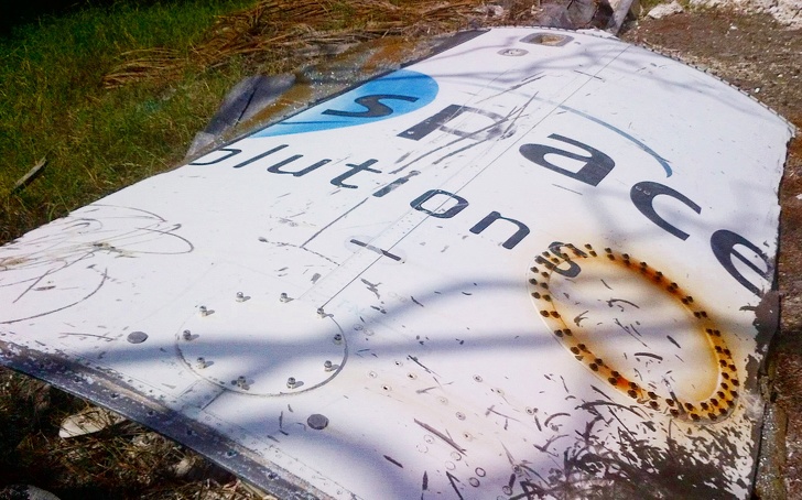 Illustration de l'article : Ces 14 découvertes inattendues sur les plages du monde