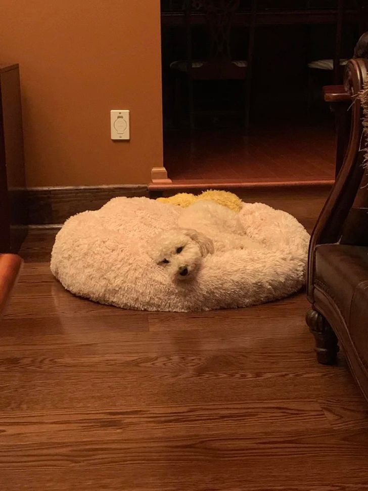 Illustration de l'article : Ces 18 personnes qui ont eu de la chance sans même qu'elles aient demandé quoi que ce soit