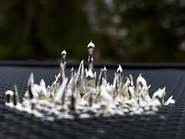 Illustration de l'article : Ces 15 photos d'oeuvres issues du hasard 