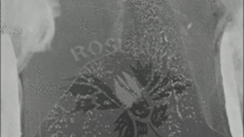 Illustration de l'article : 10 personnalités qui ont dépensé des sommes astronomiques pour acheter quelque chose de totalement inutile