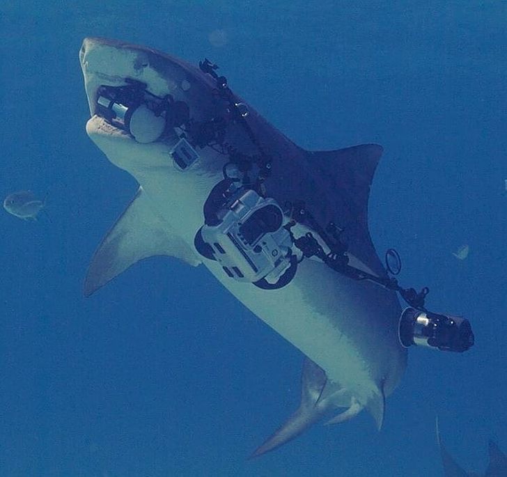 Illustration de l'article : Ces 17 photos de personnes qui ont mal fait leur travail