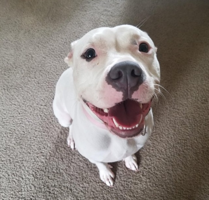 Illustration de l'article : Ces 18 photos qui montrent le bonheur vécu par ces personnes