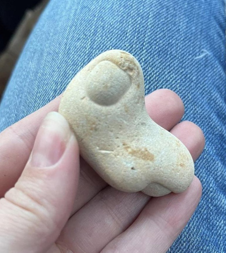 Illustration de l'article : Ces 17 photos qui montrent que Dame Nature a de l'humour